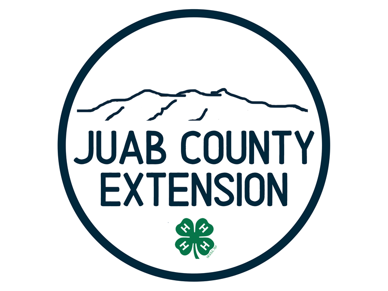 Logo for 2026 Juab County 4-H Fair